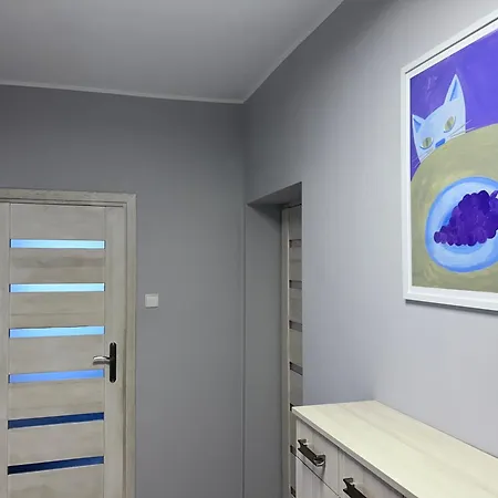 Apartment Przytulne Mieszkanie Z Wyposazona Kuchnia, 200 M Od Parku Centralnego