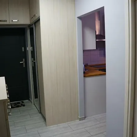 Przytulne Mieszkanie Z Wyposazona Kuchnia, 200 M Od Parku Centralnego Apartment